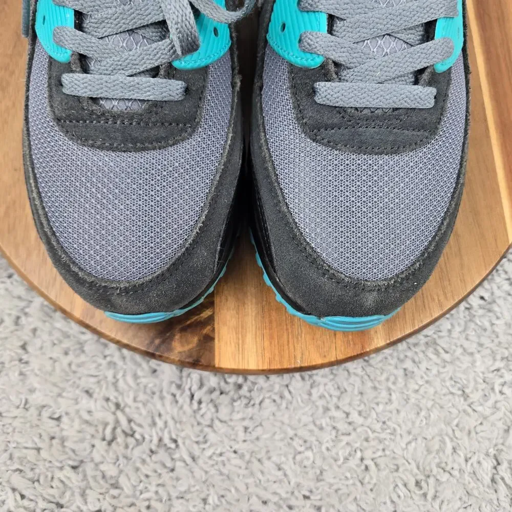 Nike Mens 10.5 Air Max 90 Cool Grey Dusty Cactus Black Daily Sneaker DM0029-013